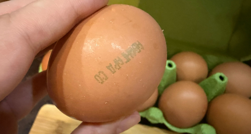 Никогда не кладите яйца после варки в холодную воду: вот что происходит в составе при резком охлаждении