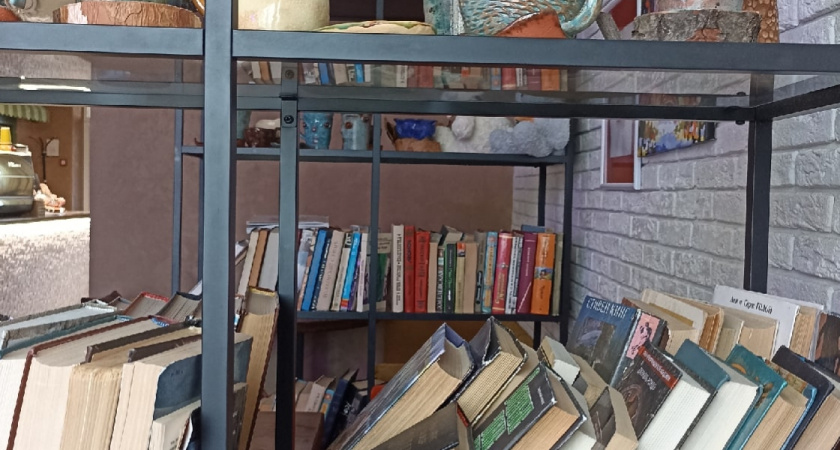 Рязанские подростки обокрали сельскую библиотеку и сняли все на видео