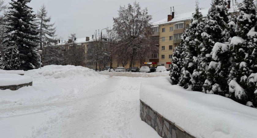 Рядом со школой в Рязани на дорогу упали провода