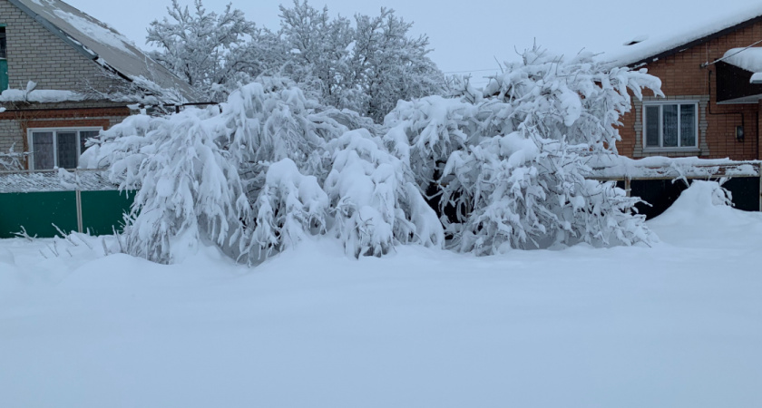 В рязанской деревне мужчина избил битой поклонника родственницы