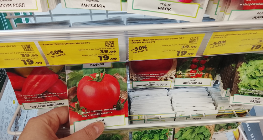 Рассаду каких растений выращивать больше никогда не буду, а каких - продолжу с удовольствием и вам советую