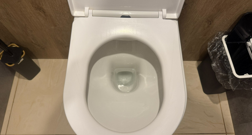 Беру одну таблетку и бросаю ее в унитаз: сантехника в доме сверкает, как серебро - все дело в одной хитрости