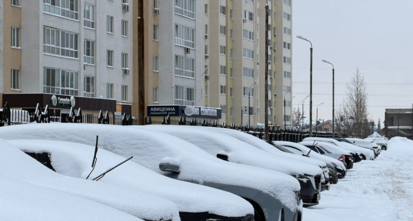 Стала известна средняя стоимость подержанного авто в Рязанской области