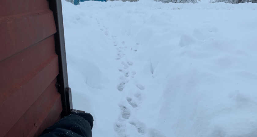 Рязанцам рассказали о необычной погоде в феврале