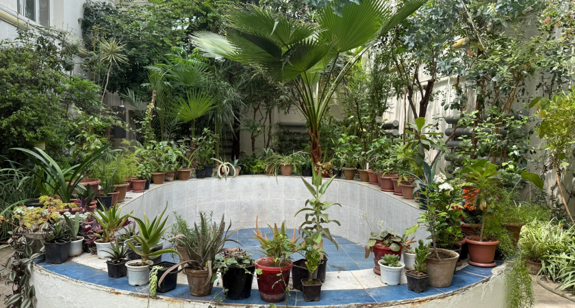 Сажаю однолетники в «вечные» лунки — никакой мороки и уставшей спины с перекопкой: меняю цветы местами, когда захочу