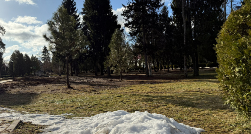 Синоптики рассказали, когда в Рязанскую область придет потепление