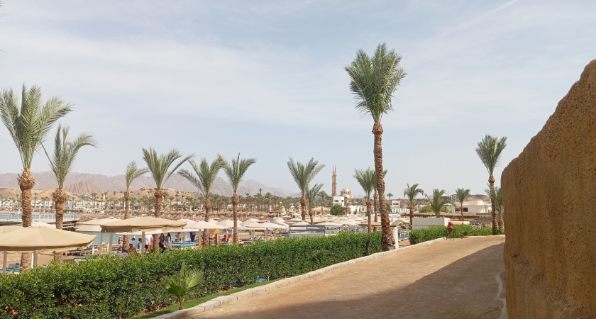 Почему муж больше не отпускает меня в Египет, даже с детьми и подругами 