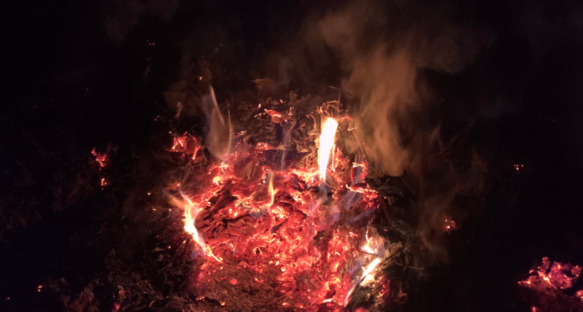 Раскрыто убийство 26-летнего рязанца, сожженного в мусорной яме