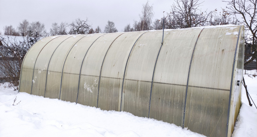 С зимы готовлюсь к новому сезону: превращаю любую грядку в плодородную: 5 простых приёмов работают годами