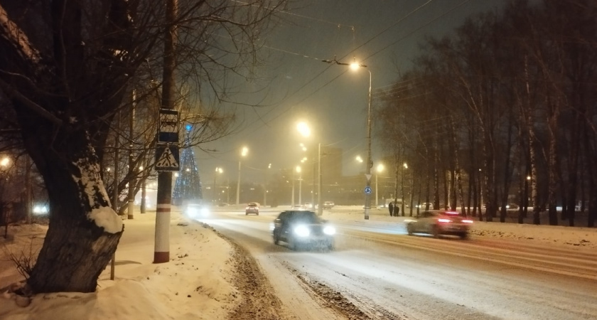 Водителей предупреждают о появлении лося возле Рязани