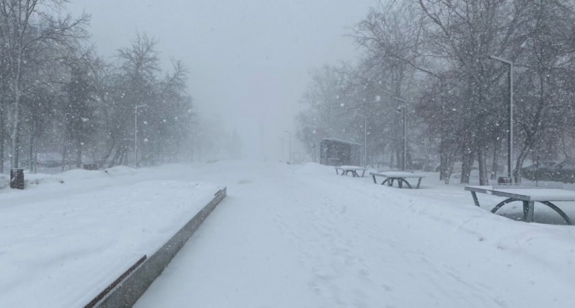 МЧС предупреждает рязанцев о метели