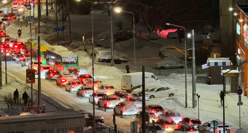 В Рязанской области упавшее дерево перекрыло дорогу