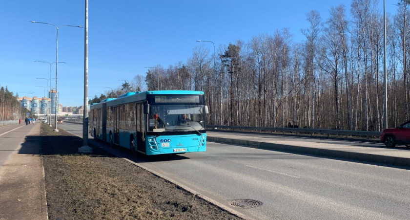 «В мороз стояли целый час, а транспорт не пришел»: у жителей д. Секиотово больше не осталось способов добраться до работы