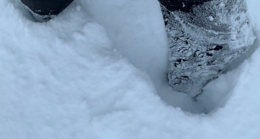 Аномальные снегопады окружают Рязанскую область