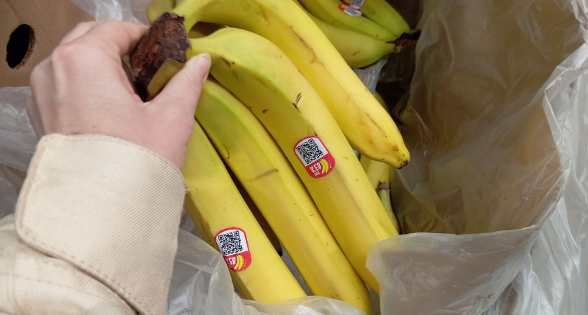 Эксперты поставили точку в вопросе: не опасно ли есть банан с черными точками на кожуре