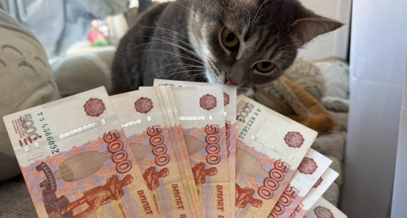 Рязанцам рассказали, на кого на сей раз нацелились мошенники