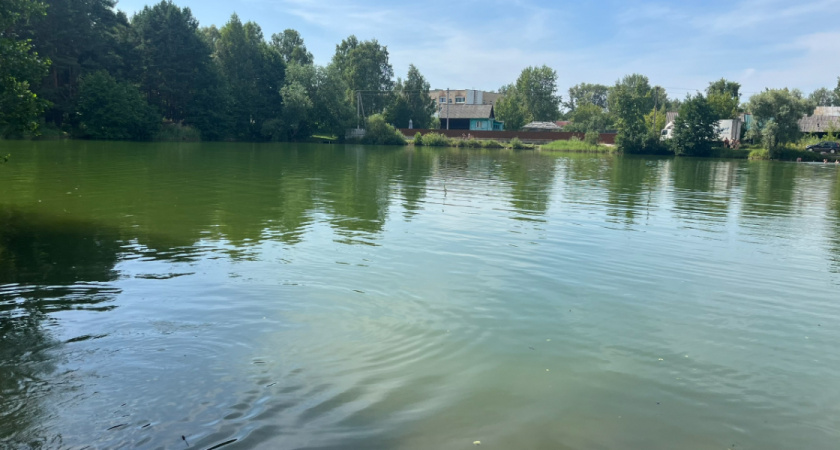 Ученые рассказали о весеннем половодье в Рязанской области