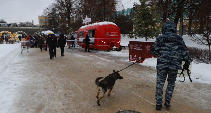 В Рязани арестовали пособника мошеннического колл‑центра