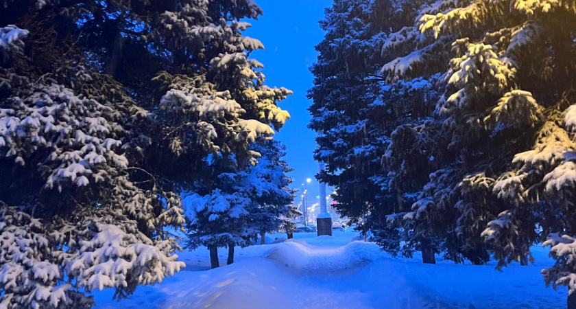 Собственнику музея в Рязани направили предостережение