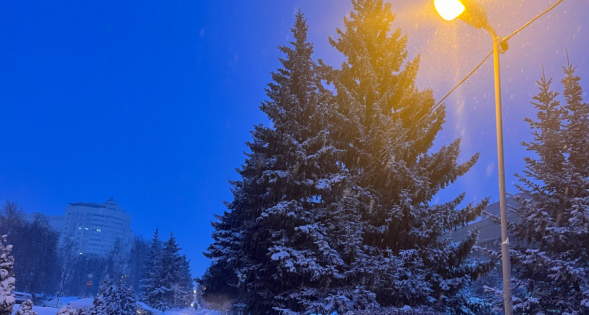 Рязанские заключенные изготовят оборудование для городского парка