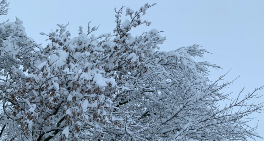 В Рязани студотряды участвуют в акции «Снежный десант РСО»