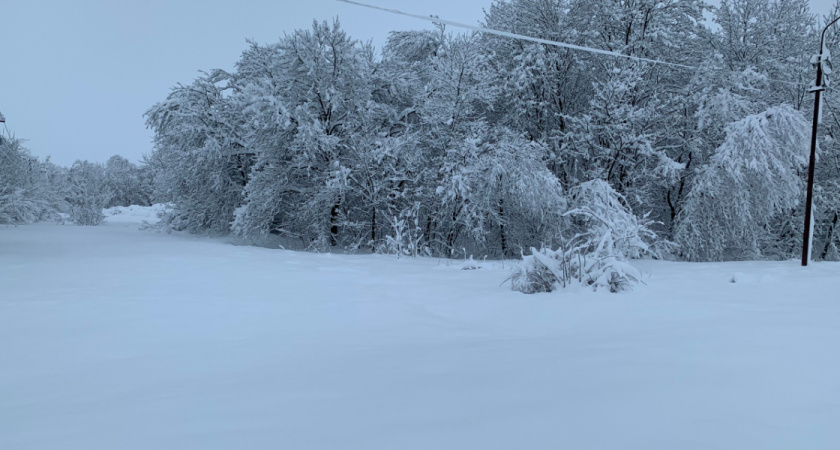 Суд изъял у рязанца 163 гектара земель