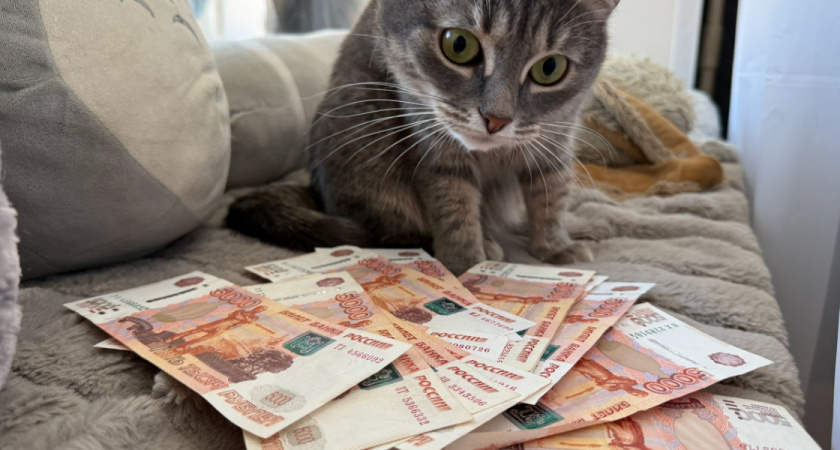 В Рязанской области мужчина собрал с людей 6.2 миллионов и потерял их