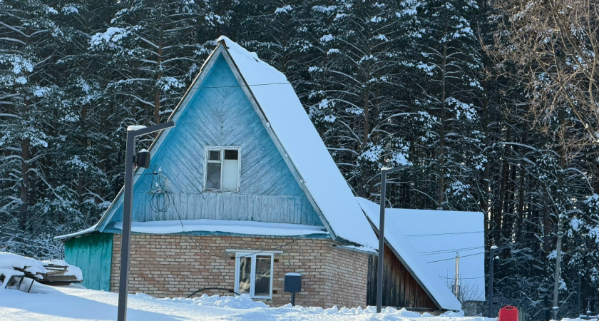 Февраль опасен для сада: вот как защищаю плодовые деревья от морозов и бед не знаю