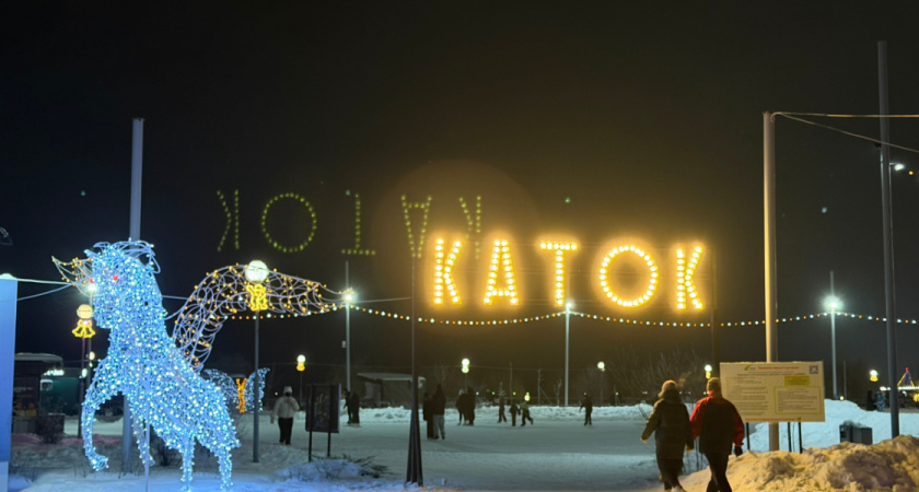 Рязанцы могут присоединиться ко всероссийской переписи воробьев с 7 по 15 февраля