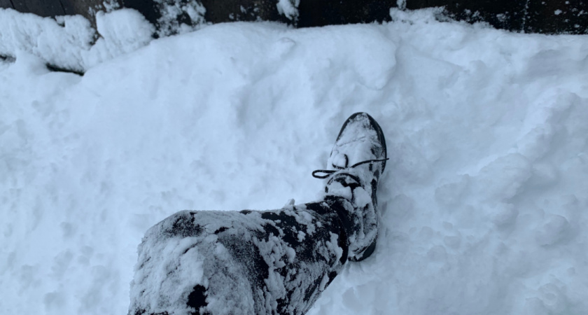 МЧС сообщили рязанцам, как долго будет сохраняться аномальный мороз