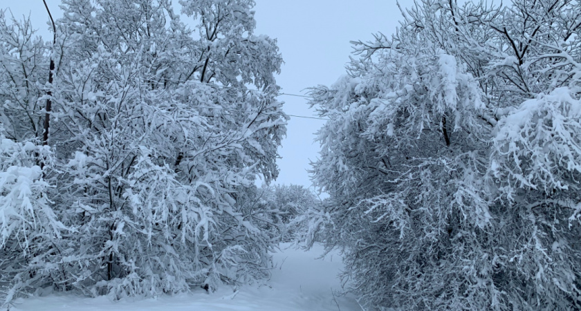Стало известно о судьбе пропавшего в Рязани 74-летнего пенсионера