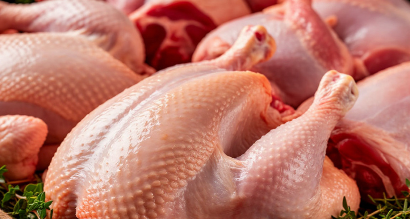 Покупают миллионы — но проверка вскрыла тревожные детали: что нашли в популярных бройлерах