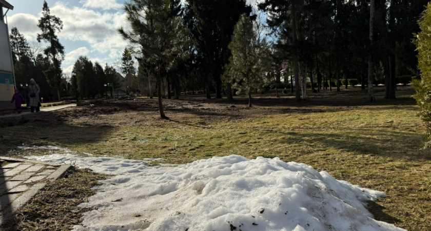 Стало известно, когда в Рязанской области потеплеет