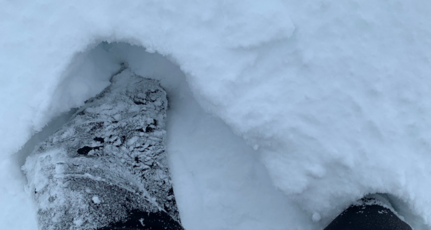 МЧС объявили прогноз погоды на завтра в Рязанской области