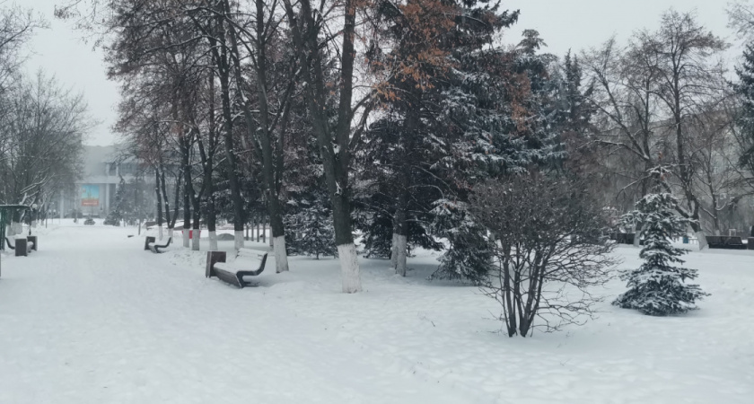 Стало известно, что сделал рязанец с найденным на улице кошельком