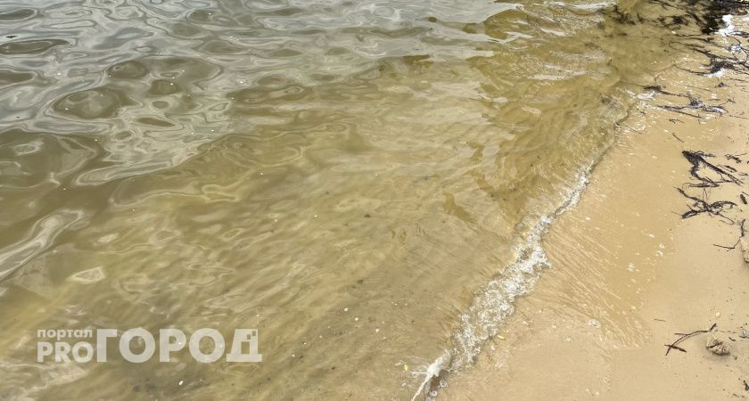 «Идёт сильный пар и запах»: рязанка пожаловалась губернатору на проблему с прудом на улице Чернышевского