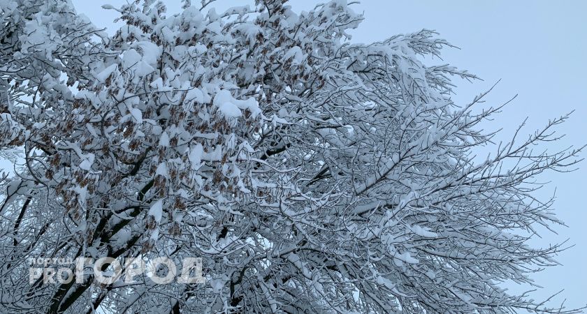 «Люди просто падают на ступеньках»: рязанка пожаловалась губернатору на работу УК во время снегопада