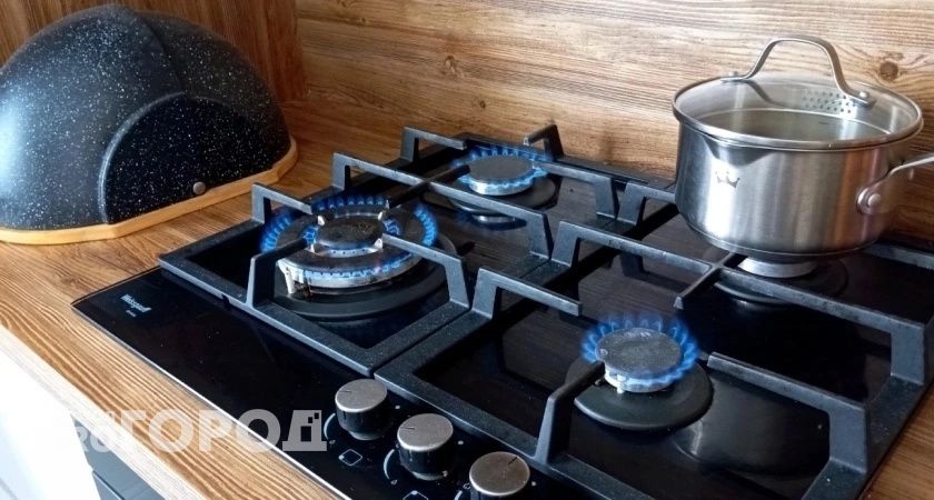 «Как есть и пить горячее?»: рязанцы пожаловались губернатору на отключение газа после планового осмотра