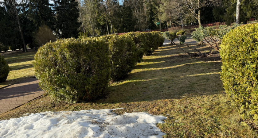 Метеоролог объявил, когда оттепель придет в Рязанскую область