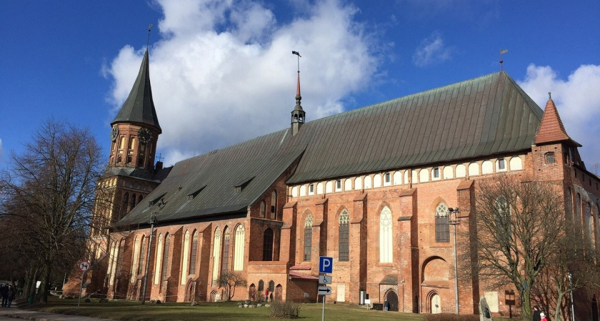 Отправился в Калининград только ради этого: вот что удалось попробовать - такого не найти нигде