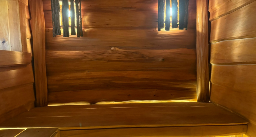 Доски в бане покрываются плесенью — причина не в дереве: простое решение продлит срок службы