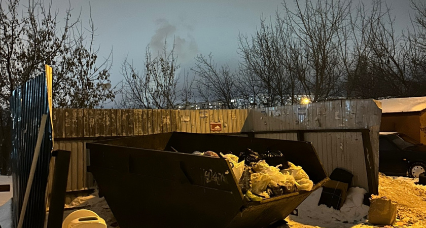 В Рязани на ликвидацию свалки выделили 12 млн рублей