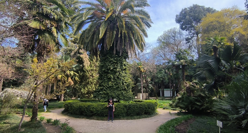 В каких городах России самая тёплая зима: вот куда съезжаются на зимовку самые продвинутые россияне