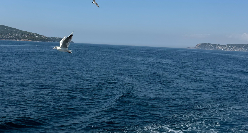 За 7 лет объехали 42 города и посёлка Крыма: вот какие 2 выбрал для для жизни - соглашаются даже местные