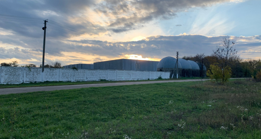 Побывала в белорусском селе и обомлела: 3 черты, которые удивили и заставили задуматься - а мы так не делаем