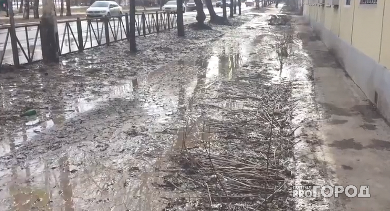 Непроходимый тротуар на улице Ленинского Комсомола в Рязани сняли на видео