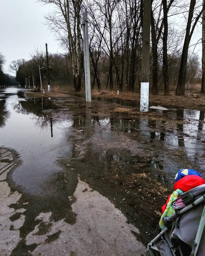 Вода повсюду. Половодье заливает дорожки в лесопарке