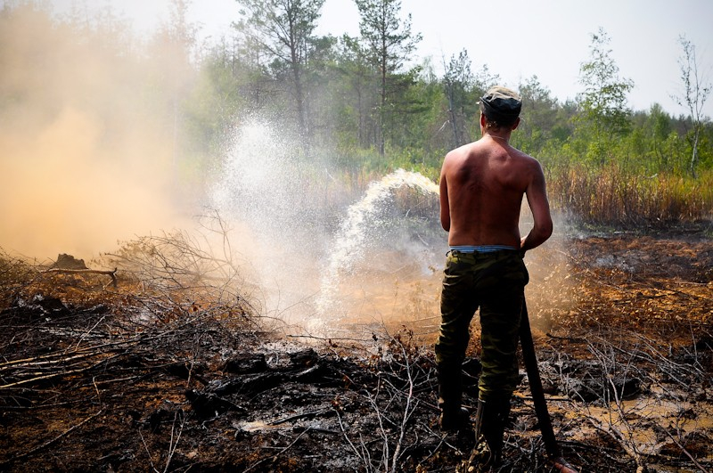 В Клепиковском районе Рязанской области потушили лесной пожар