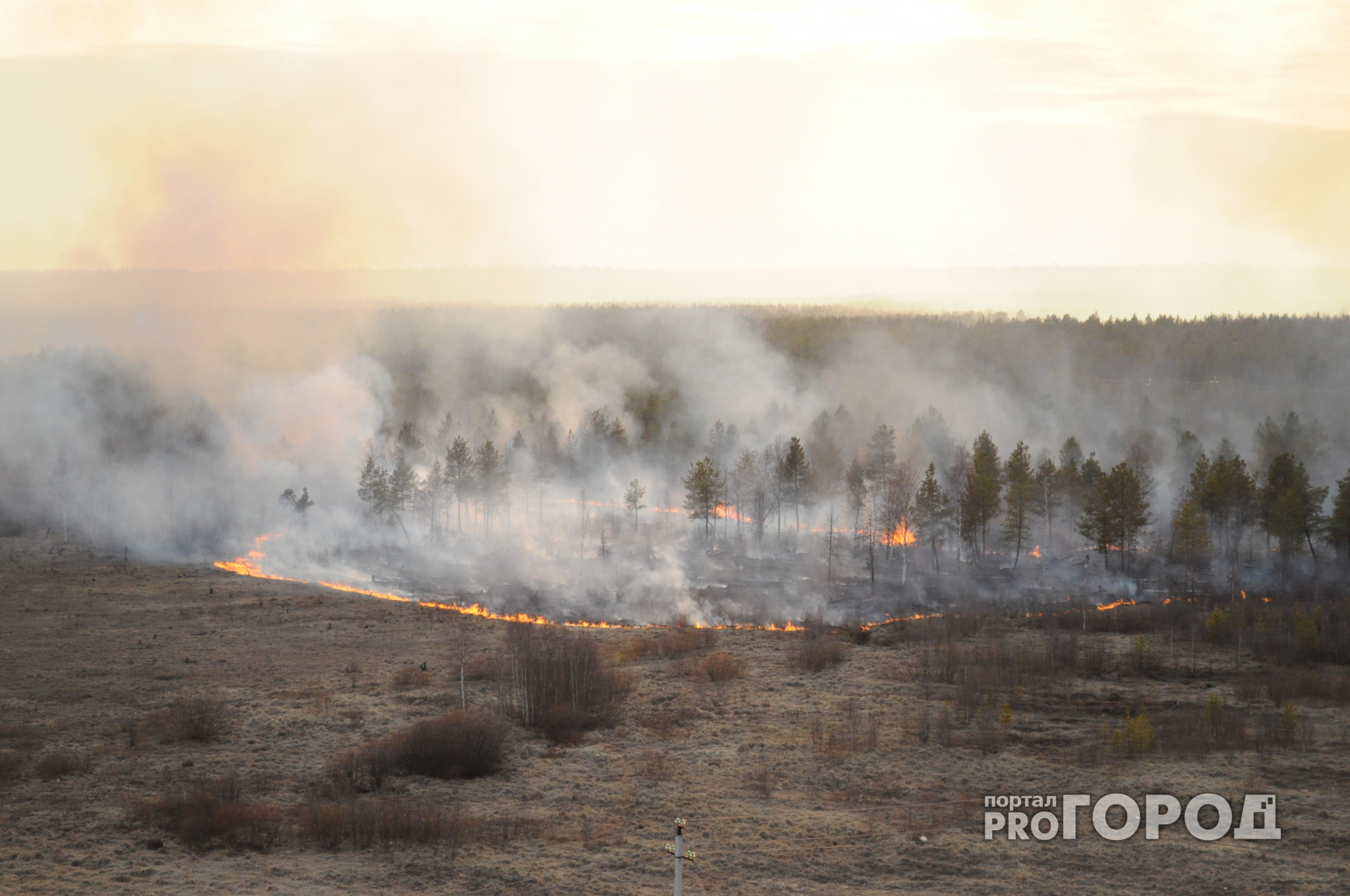 В Кадомском районе Рязанской области ликвидировали лесной пожар
