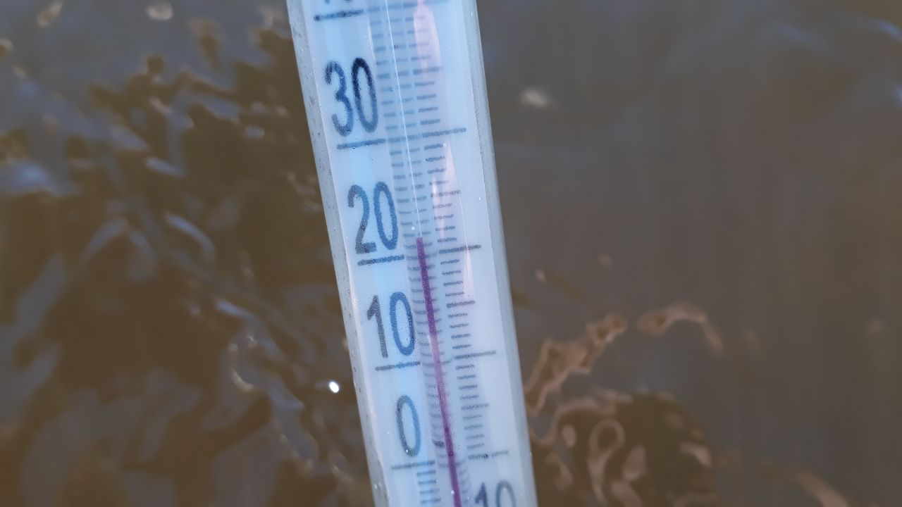В Рязани начинается пляжный сезон. Измеряем температуру воды в водоемах - эксперимент от Pro Города